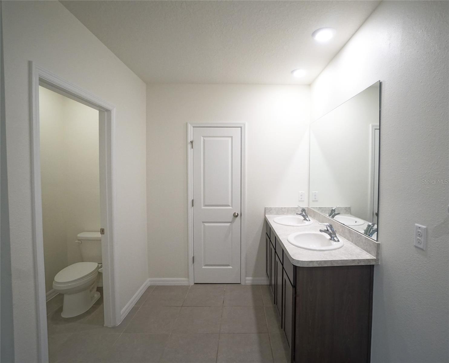 10928 CARLTON FIELDS DR, RIVERVIEW, FL, 33579