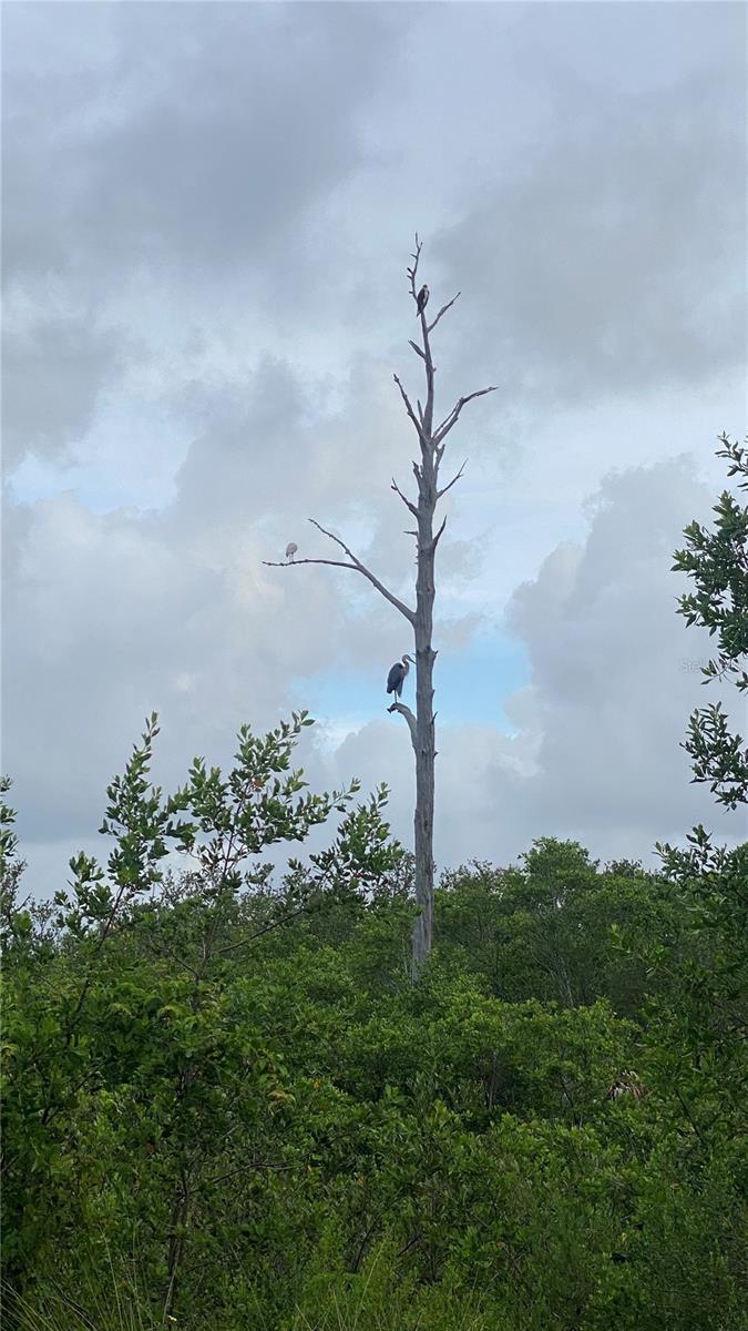 3901 30TH AVE S, ST PETERSBURG, FL, 33711