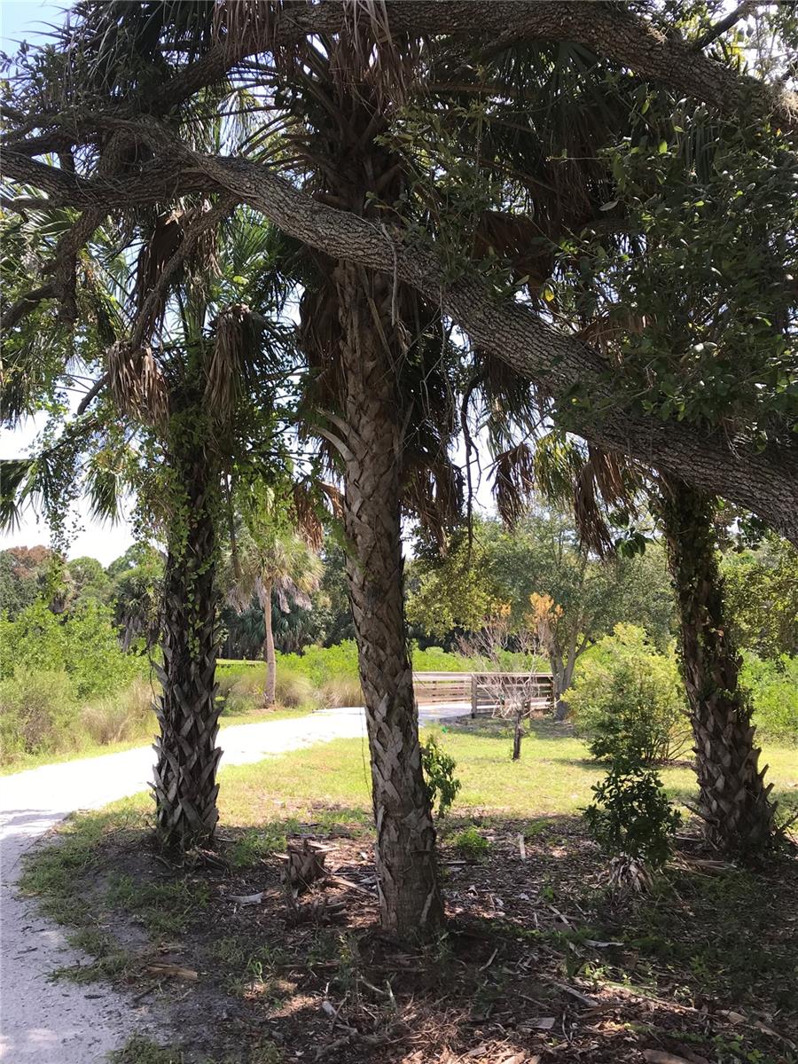 3901 30TH AVE S, ST PETERSBURG, FL, 33711