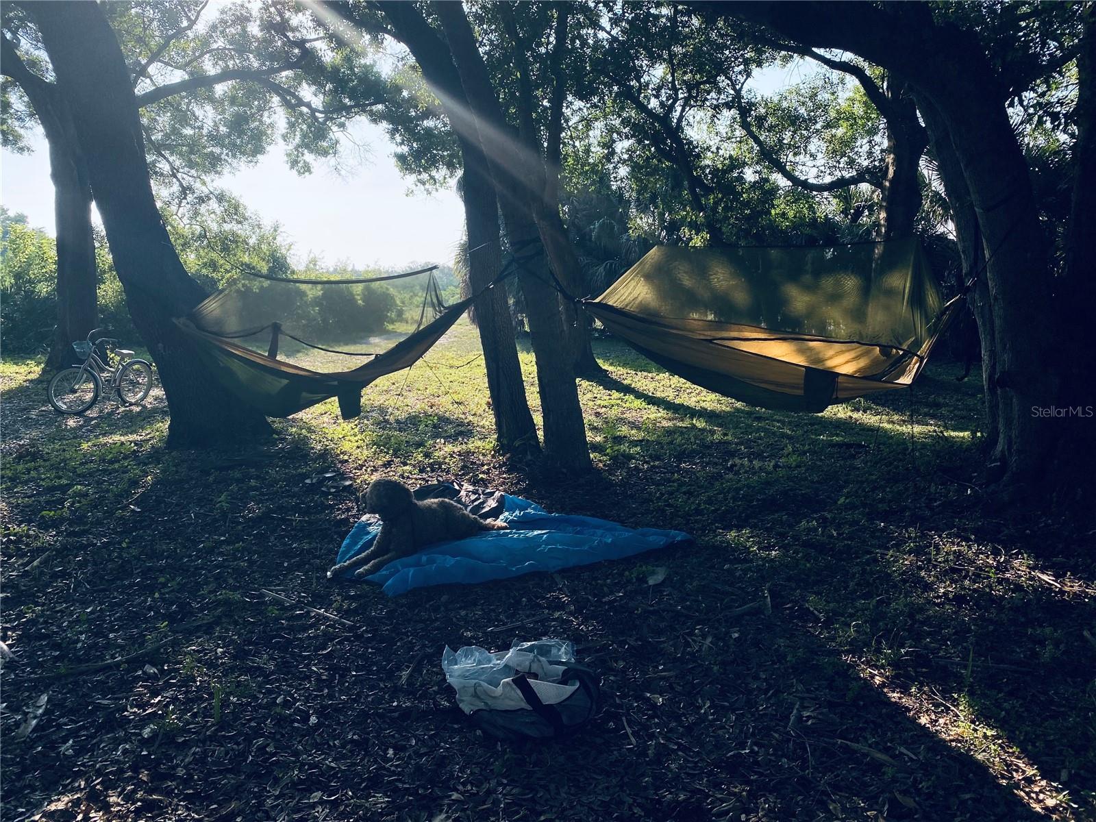 3901 30TH AVE S, ST PETERSBURG, FL, 33711