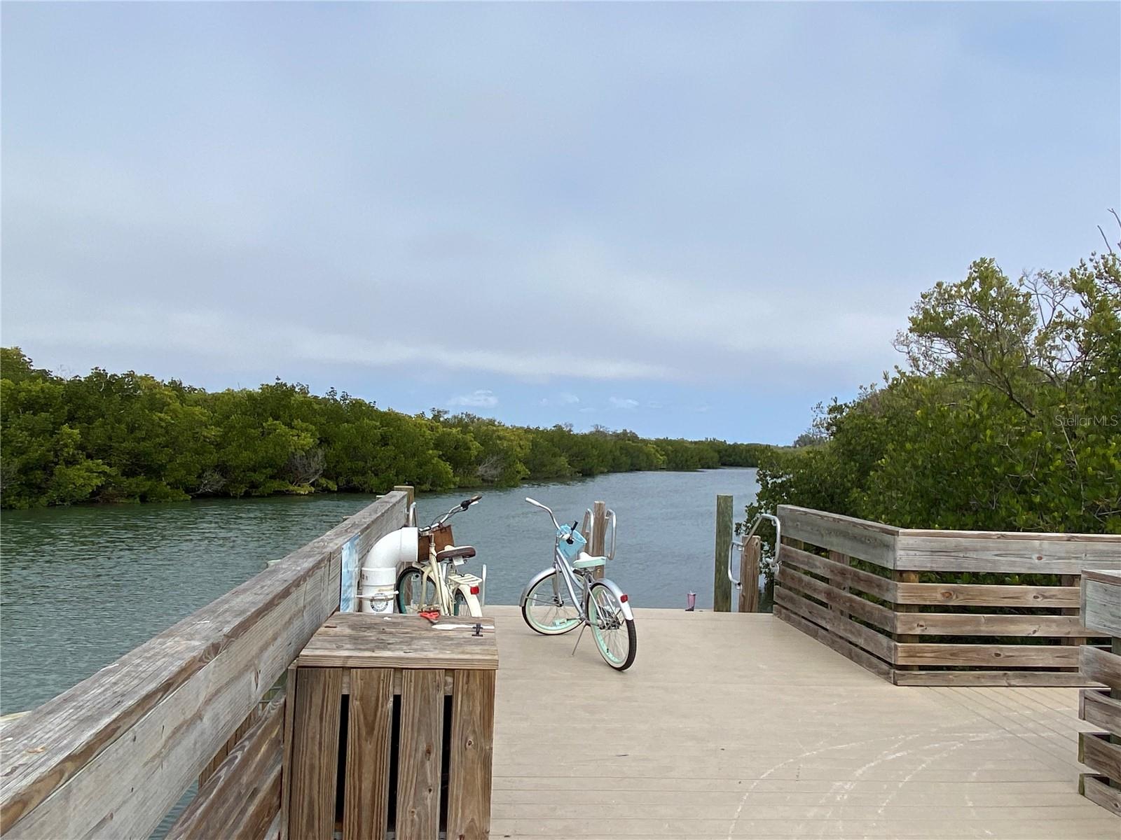 3901 30TH AVE S, ST PETERSBURG, FL, 33711