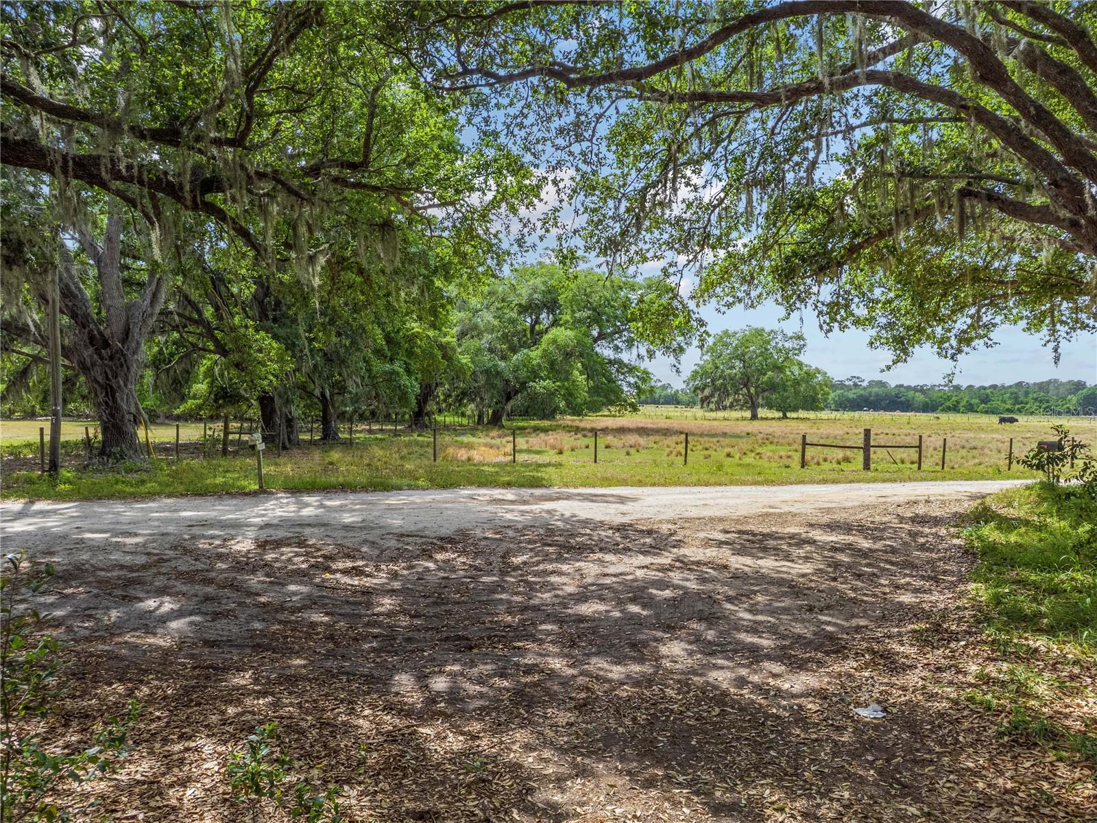 3201 CYPRESSWOOD BLVD, WINTER HAVEN, FL, 33884