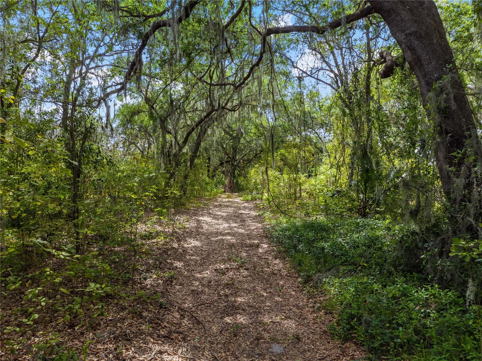 3201 CYPRESSWOOD BLVD, WINTER HAVEN, FL, 33884