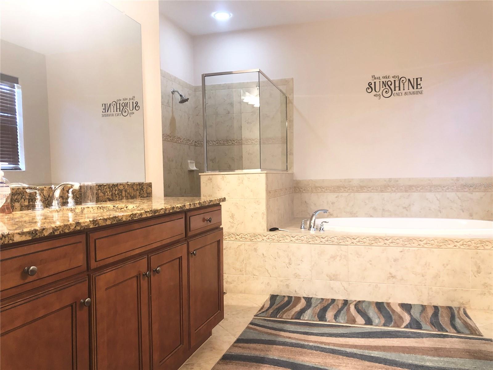 19125 SWEET CLOVER LN, TAMPA, FL, 33647