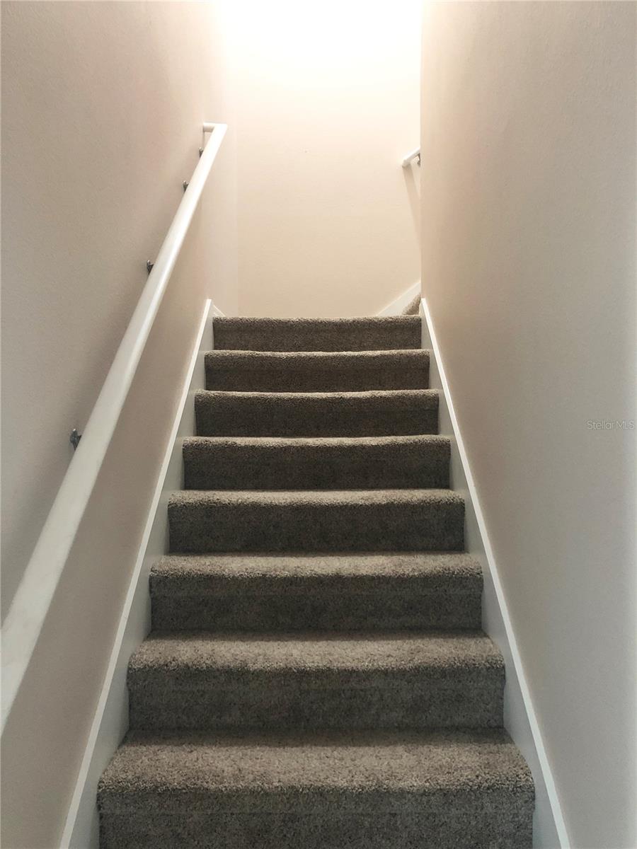 19125 SWEET CLOVER LN, TAMPA, FL, 33647