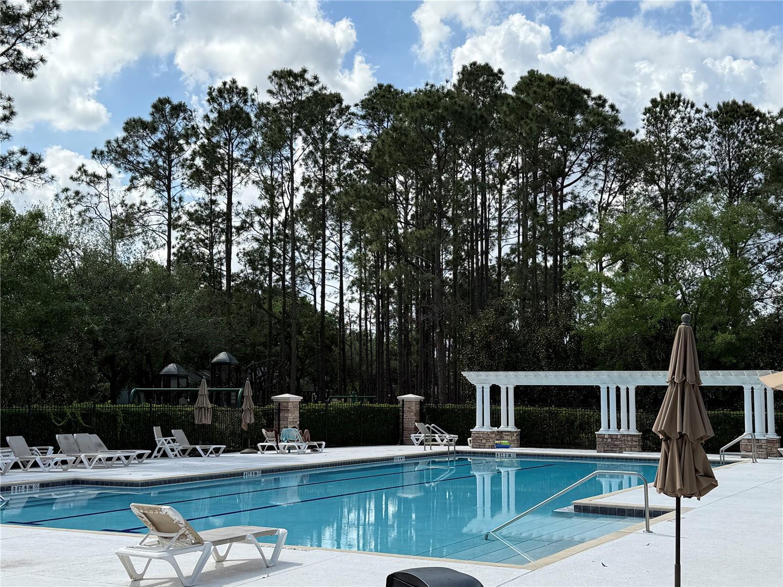 12880 HOLDENBURY LN, WINDERMERE, FL, 34786