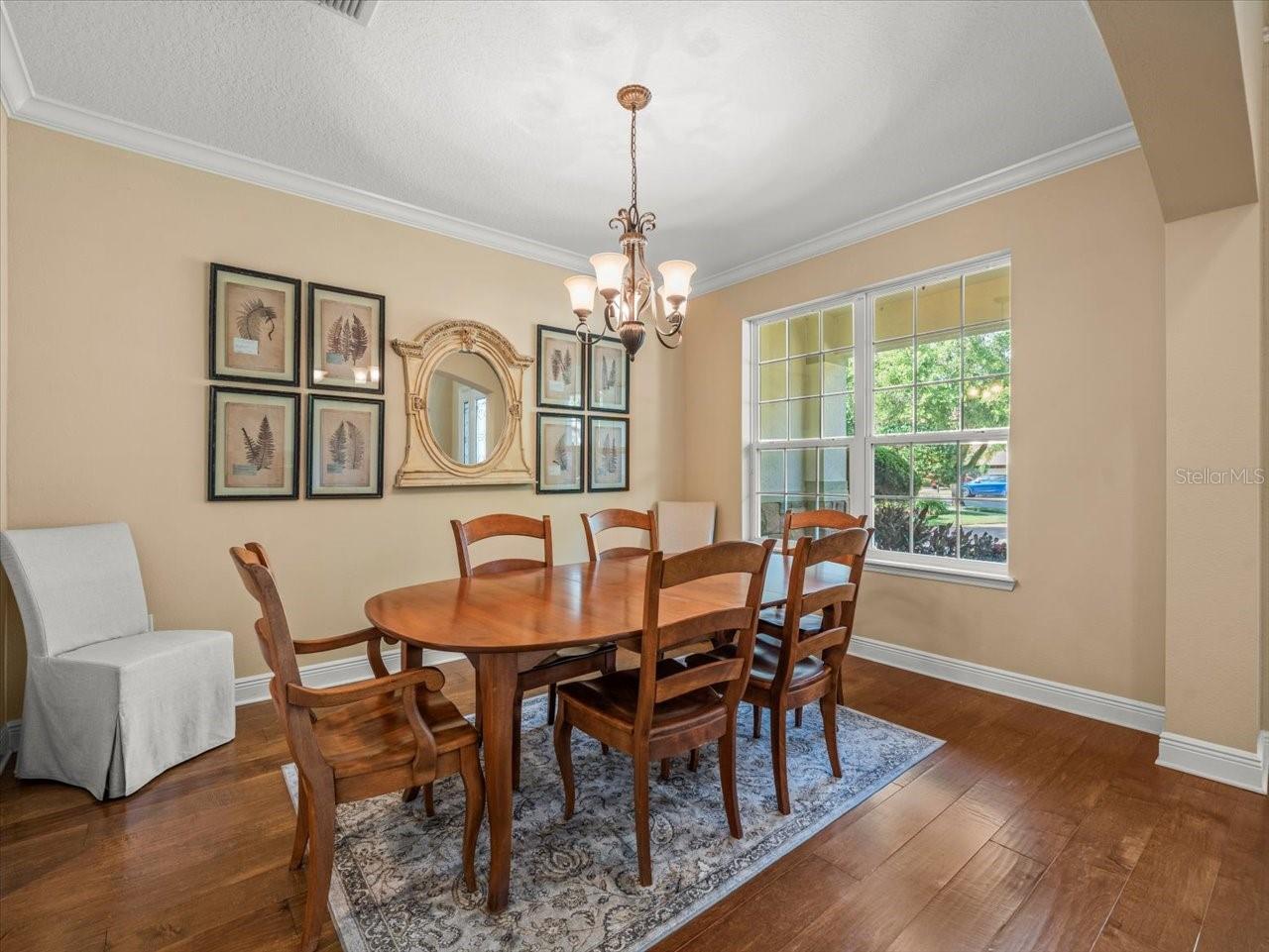 1804 BELLA CASA CT, TAMPA, FL, 33618