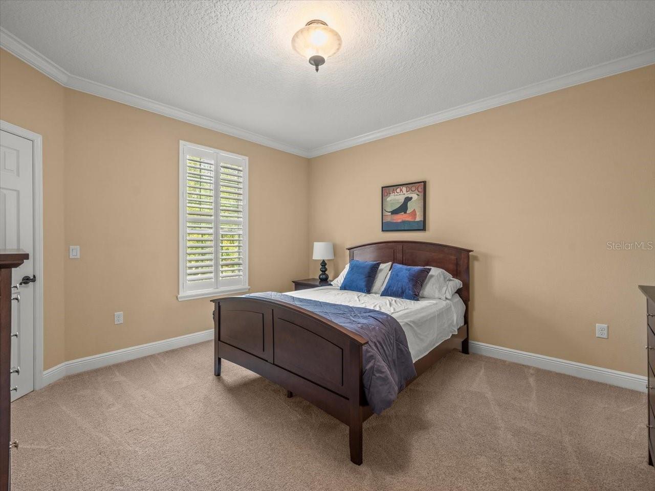 1804 BELLA CASA CT, TAMPA, FL, 33618