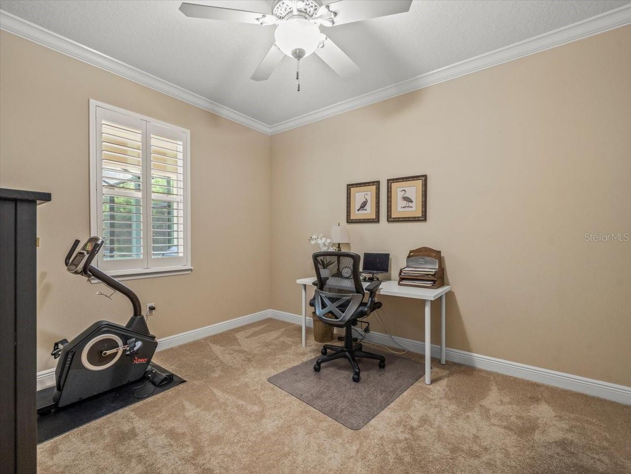 1804 BELLA CASA CT, TAMPA, FL, 33618