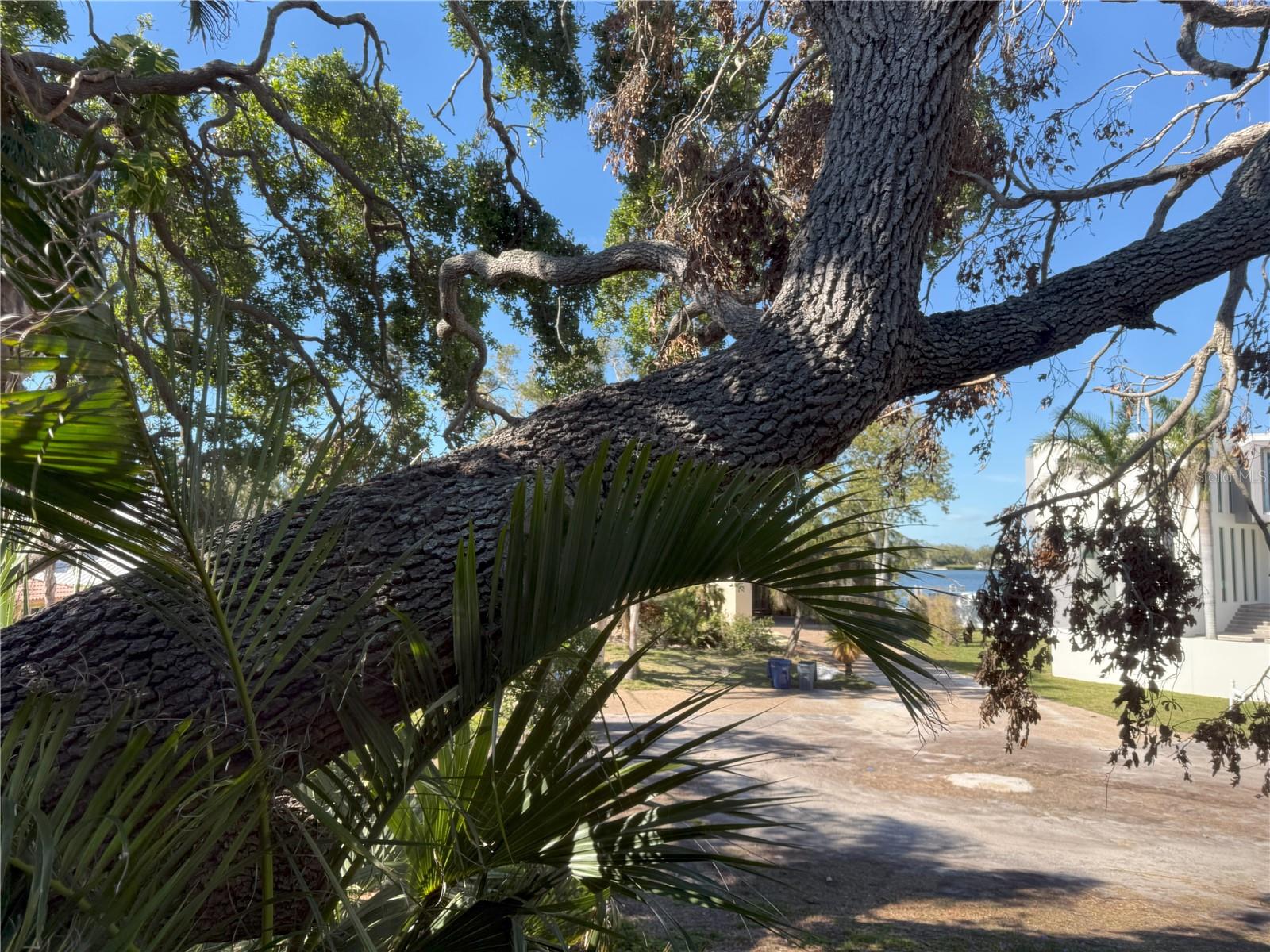 1612 POCATELLO ST, SARASOTA, FL, 34231