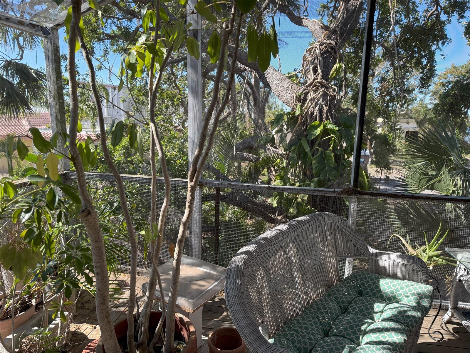 1612 POCATELLO ST, SARASOTA, FL, 34231