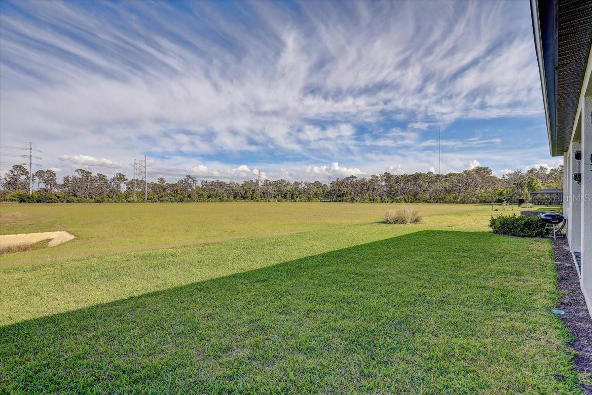 11422 CALUSA TRAILS WAY, RIVERVIEW, FL, 33569