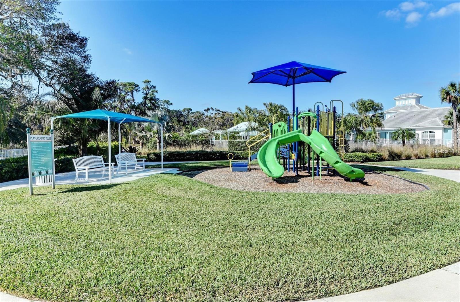 11021 BLUE MAGNOLIA LN, PARRISH, FL, 34219