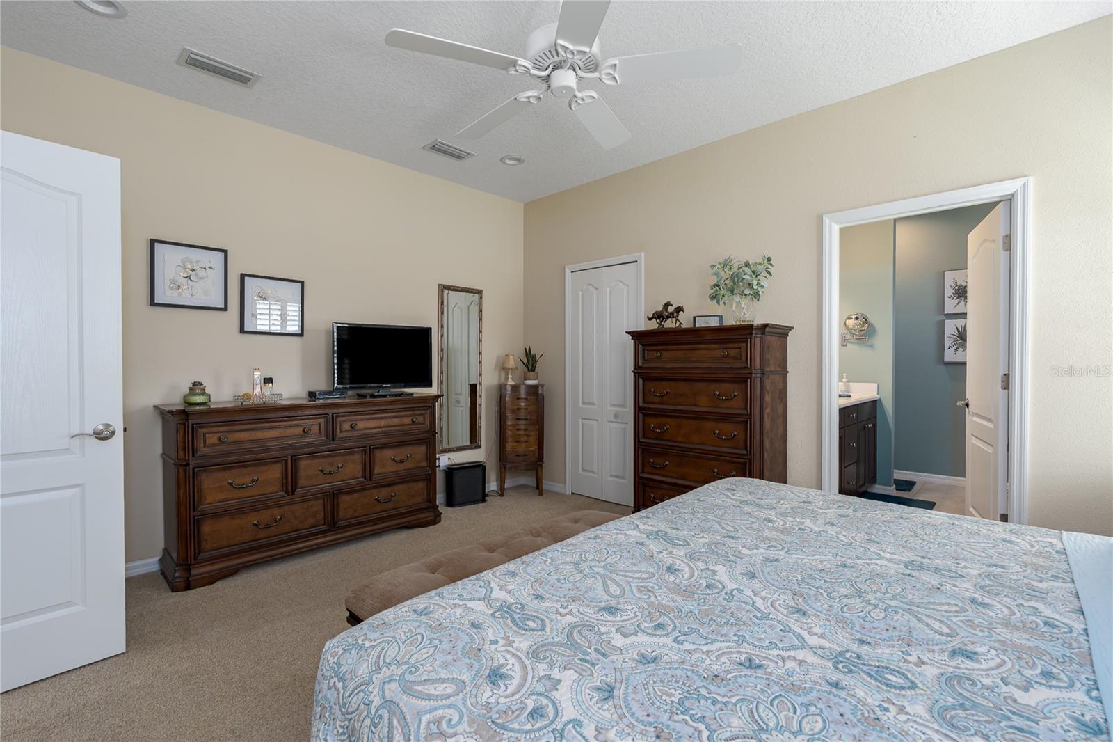 11021 BLUE MAGNOLIA LN, PARRISH, FL, 34219