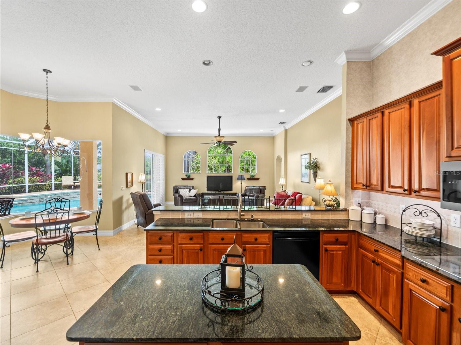 2221 CLIMBING IVY DR, TAMPA, FL, 33618