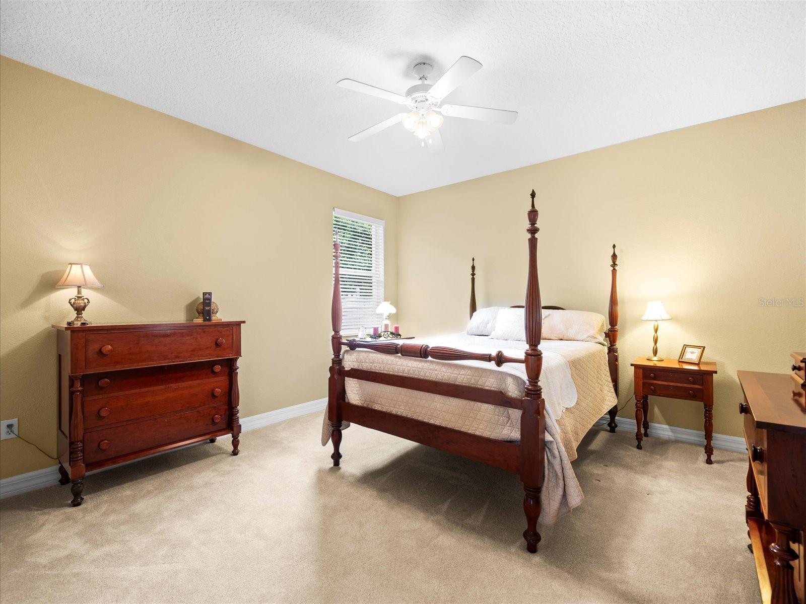 2221 CLIMBING IVY DR, TAMPA, FL, 33618