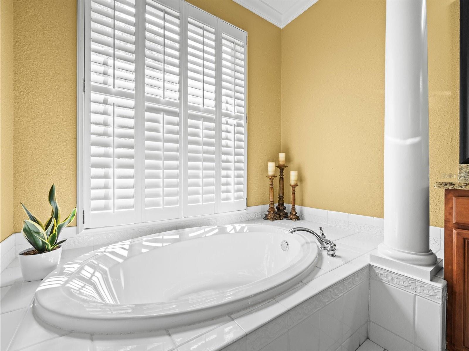 2221 CLIMBING IVY DR, TAMPA, FL, 33618