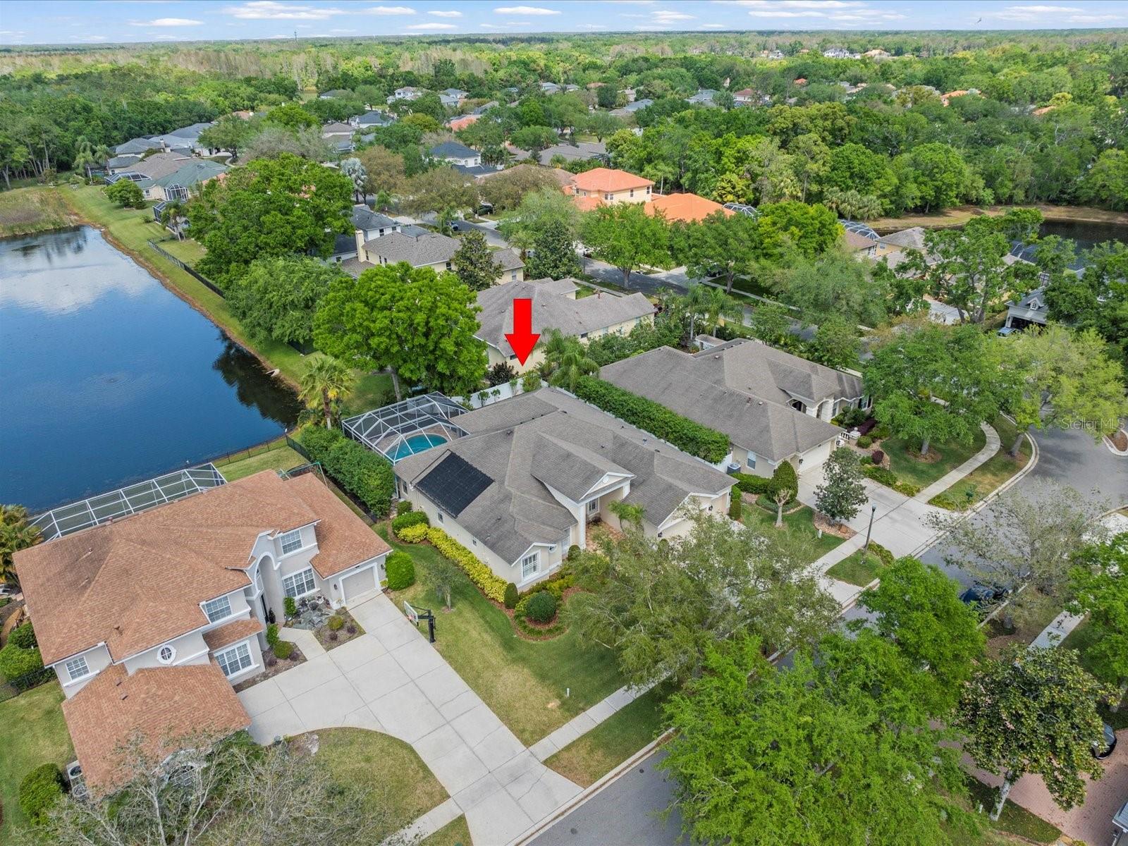 2221 CLIMBING IVY DR, TAMPA, FL, 33618