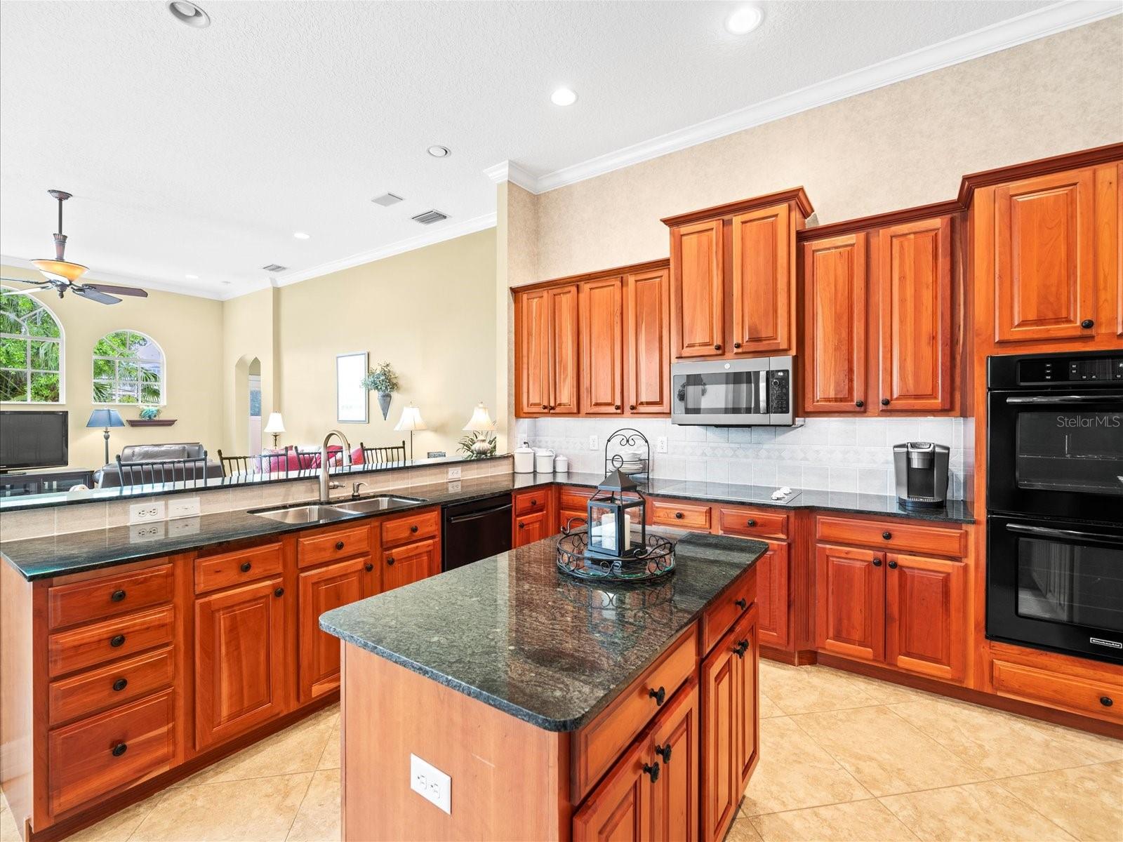 2221 CLIMBING IVY DR, TAMPA, FL, 33618