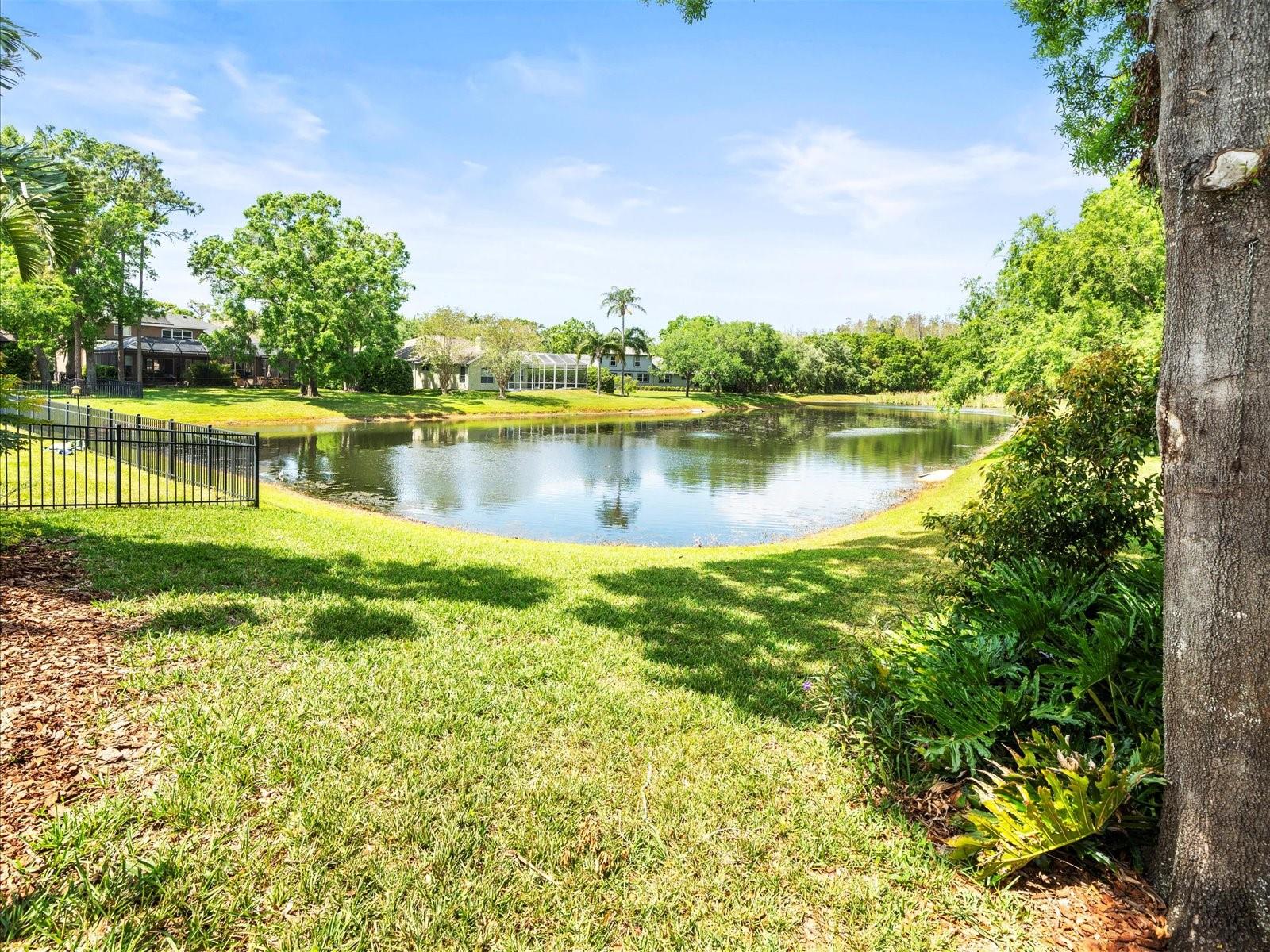 2221 CLIMBING IVY DR, TAMPA, FL, 33618