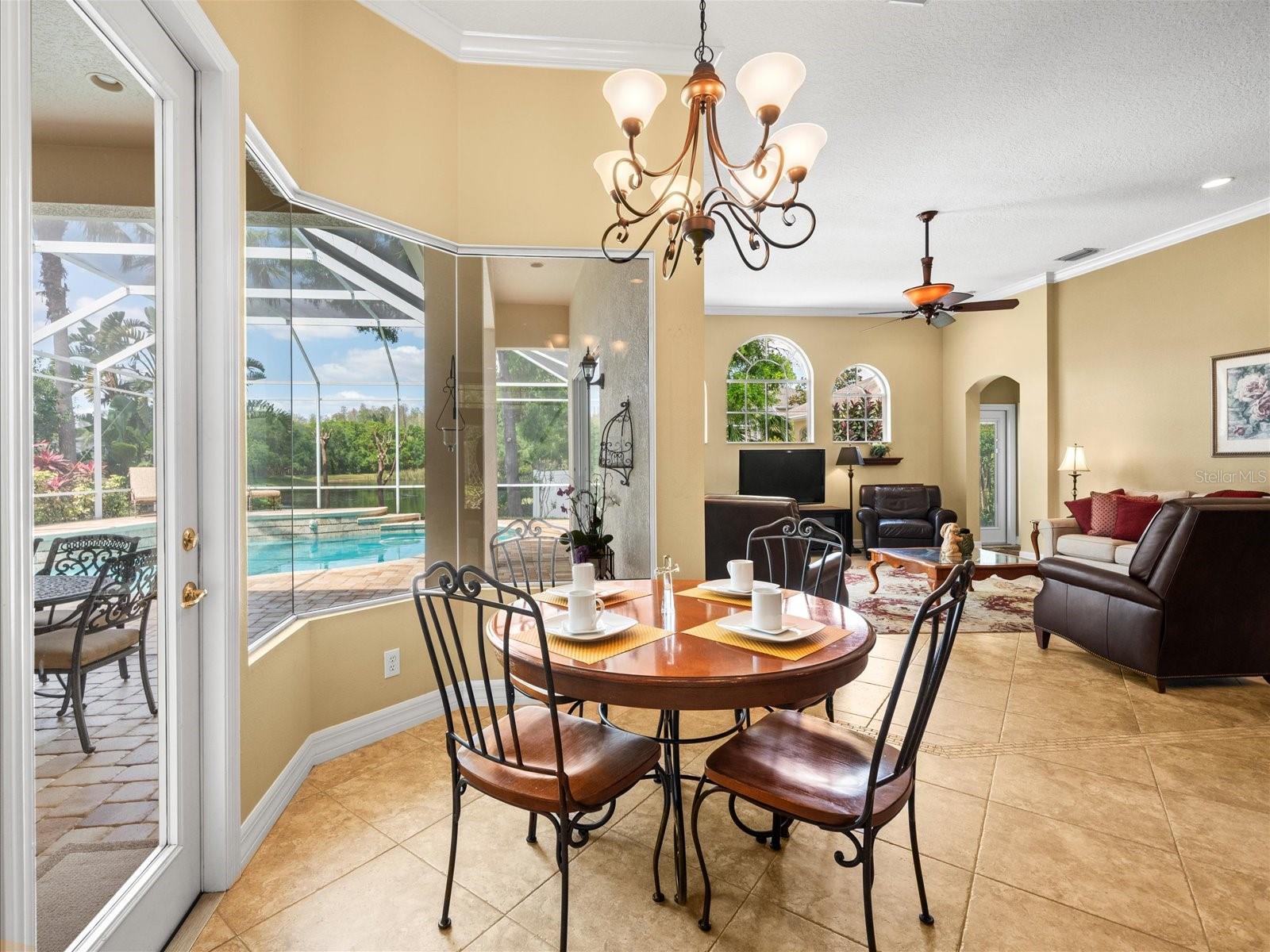 2221 CLIMBING IVY DR, TAMPA, FL, 33618