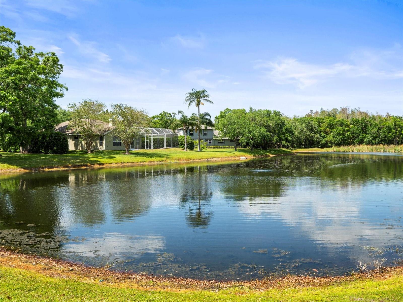 2221 CLIMBING IVY DR, TAMPA, FL, 33618