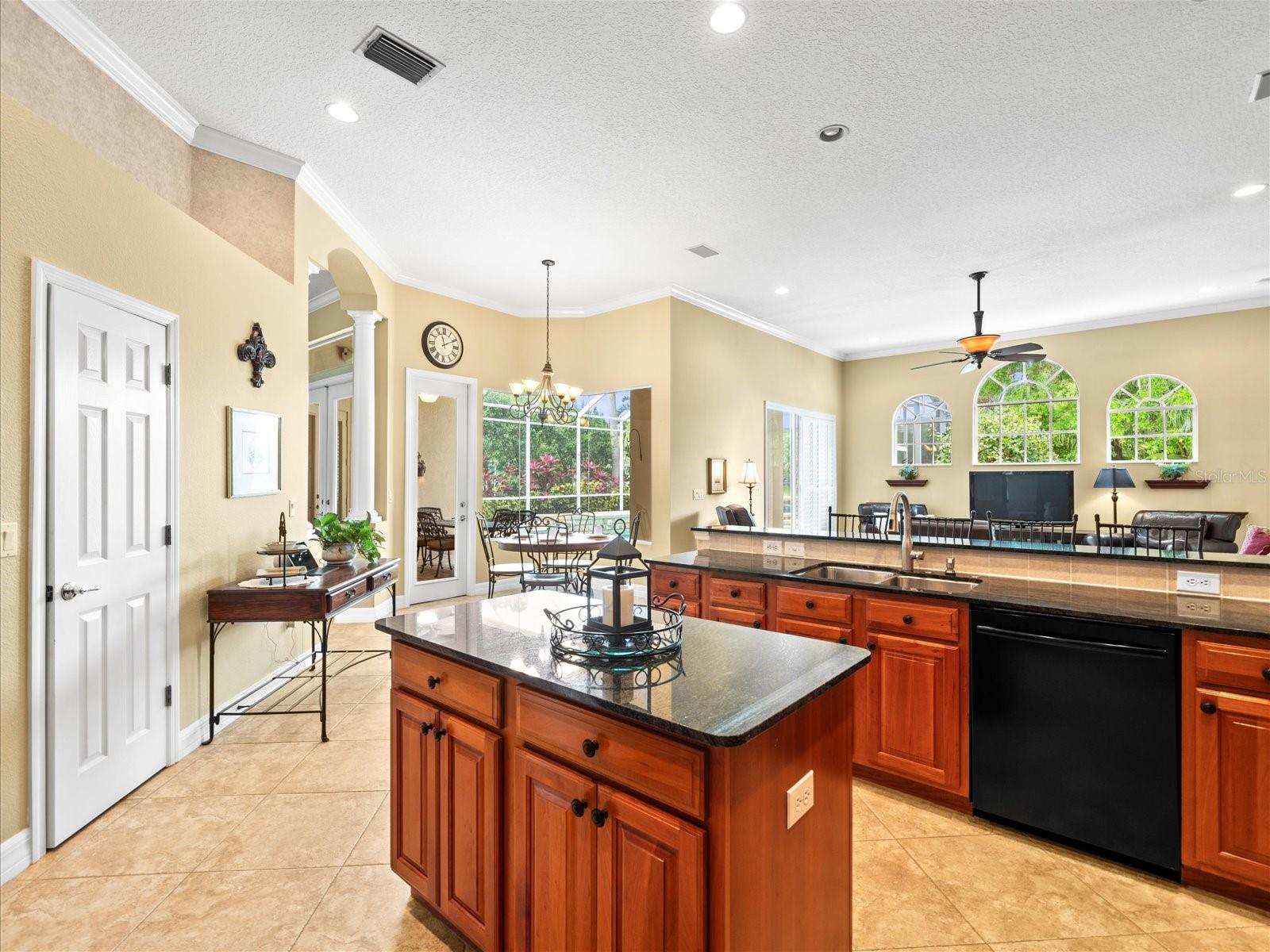 2221 CLIMBING IVY DR, TAMPA, FL, 33618