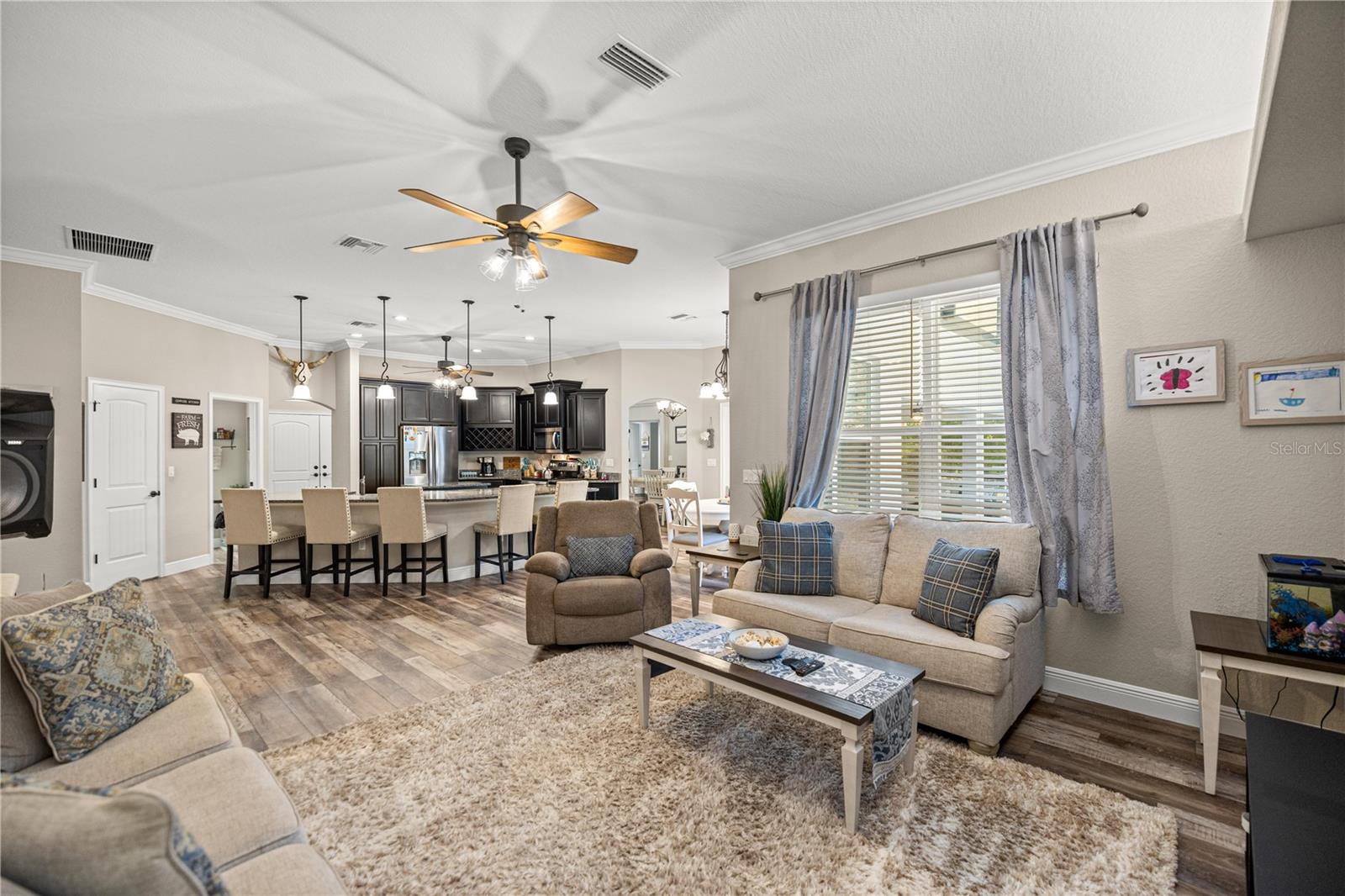 13843 SE HIGHWAY 464C, OCKLAWAHA, FL, 32179