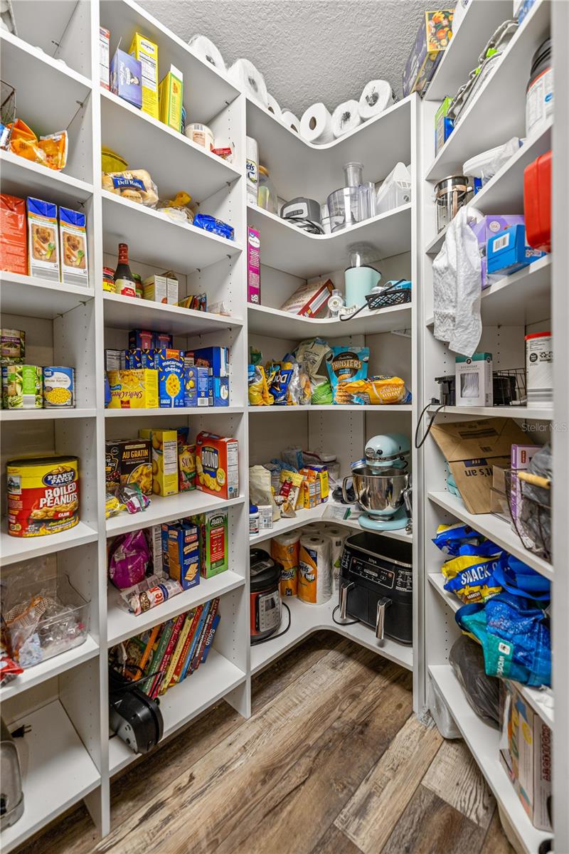 13843 SE HIGHWAY 464C, OCKLAWAHA, FL, 32179