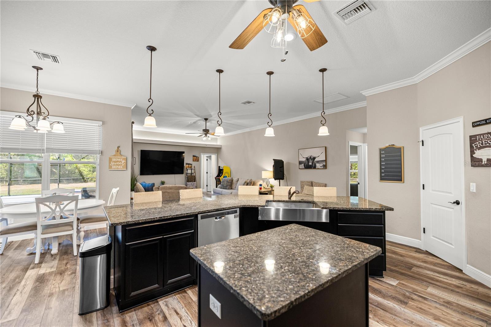 13843 SE HIGHWAY 464C, OCKLAWAHA, FL, 32179