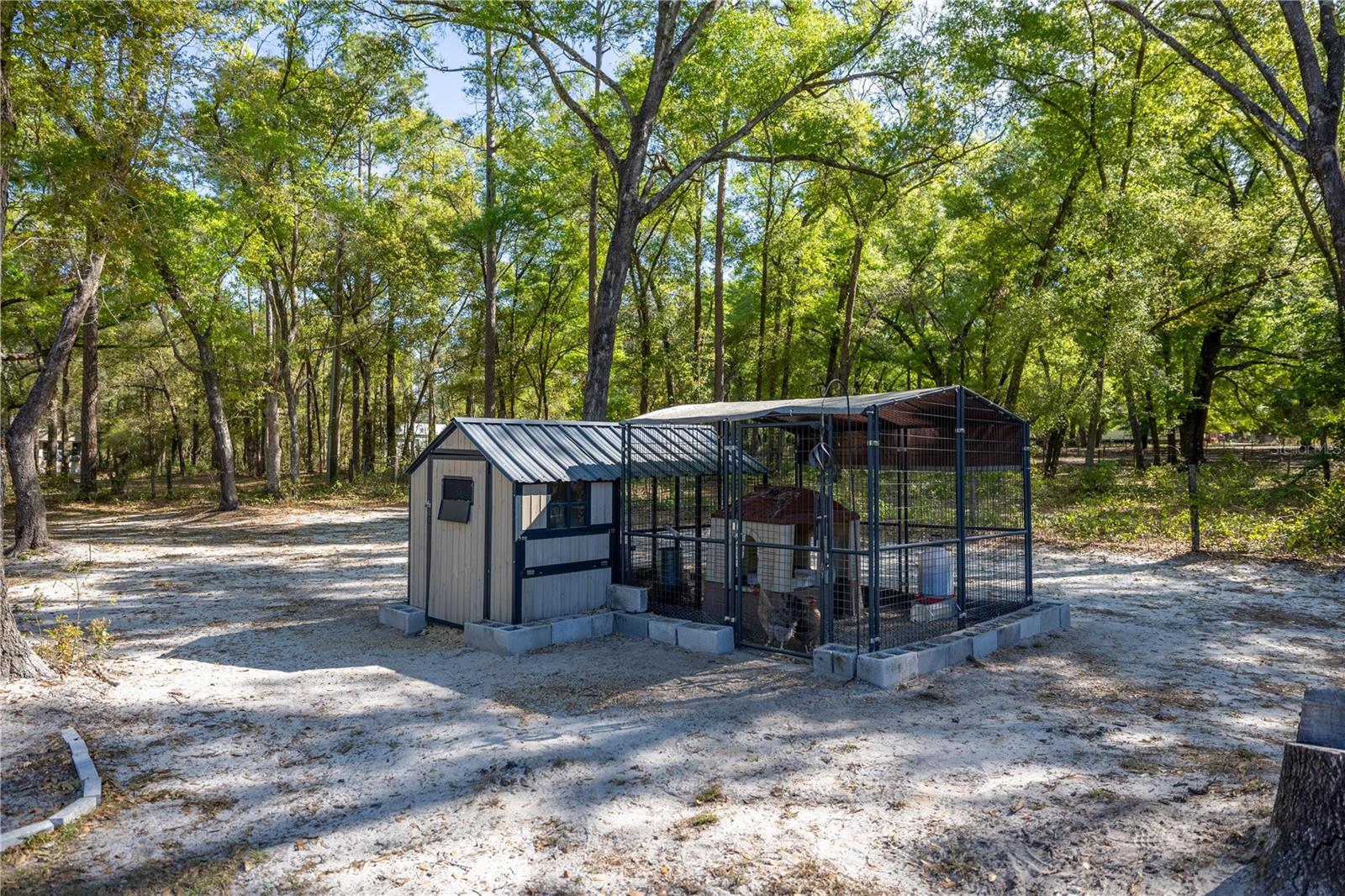 13843 SE HIGHWAY 464C, OCKLAWAHA, FL, 32179