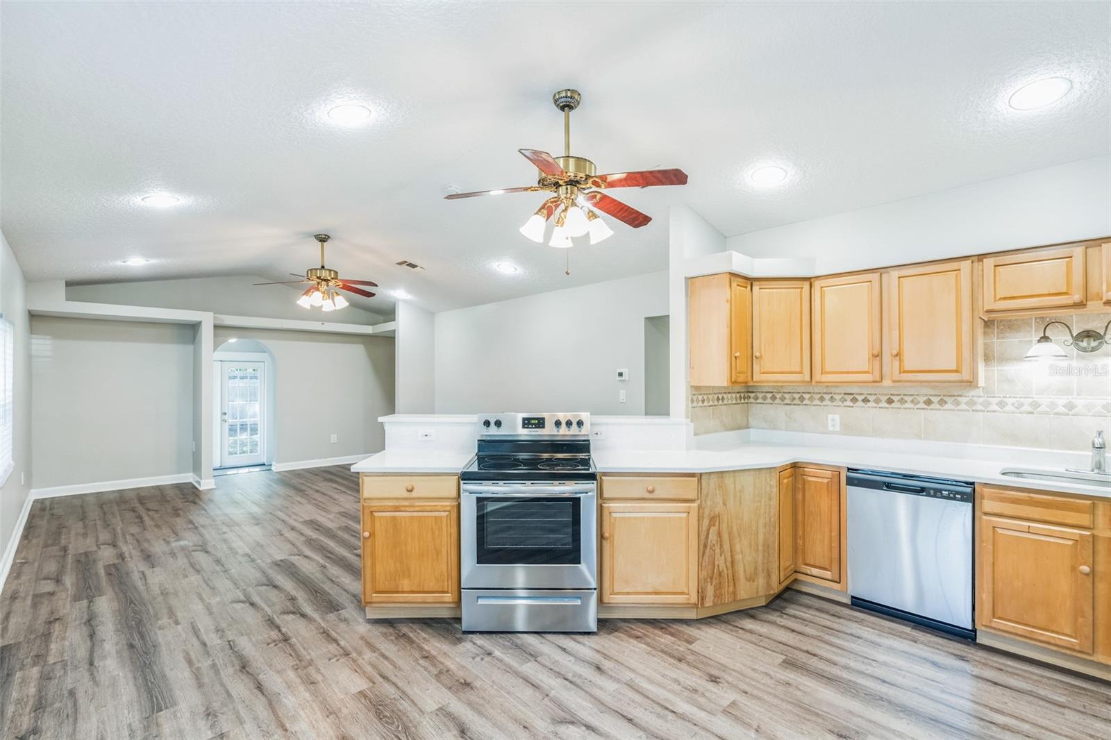 250 E 20TH AVE, MOUNT DORA, FL, 32757