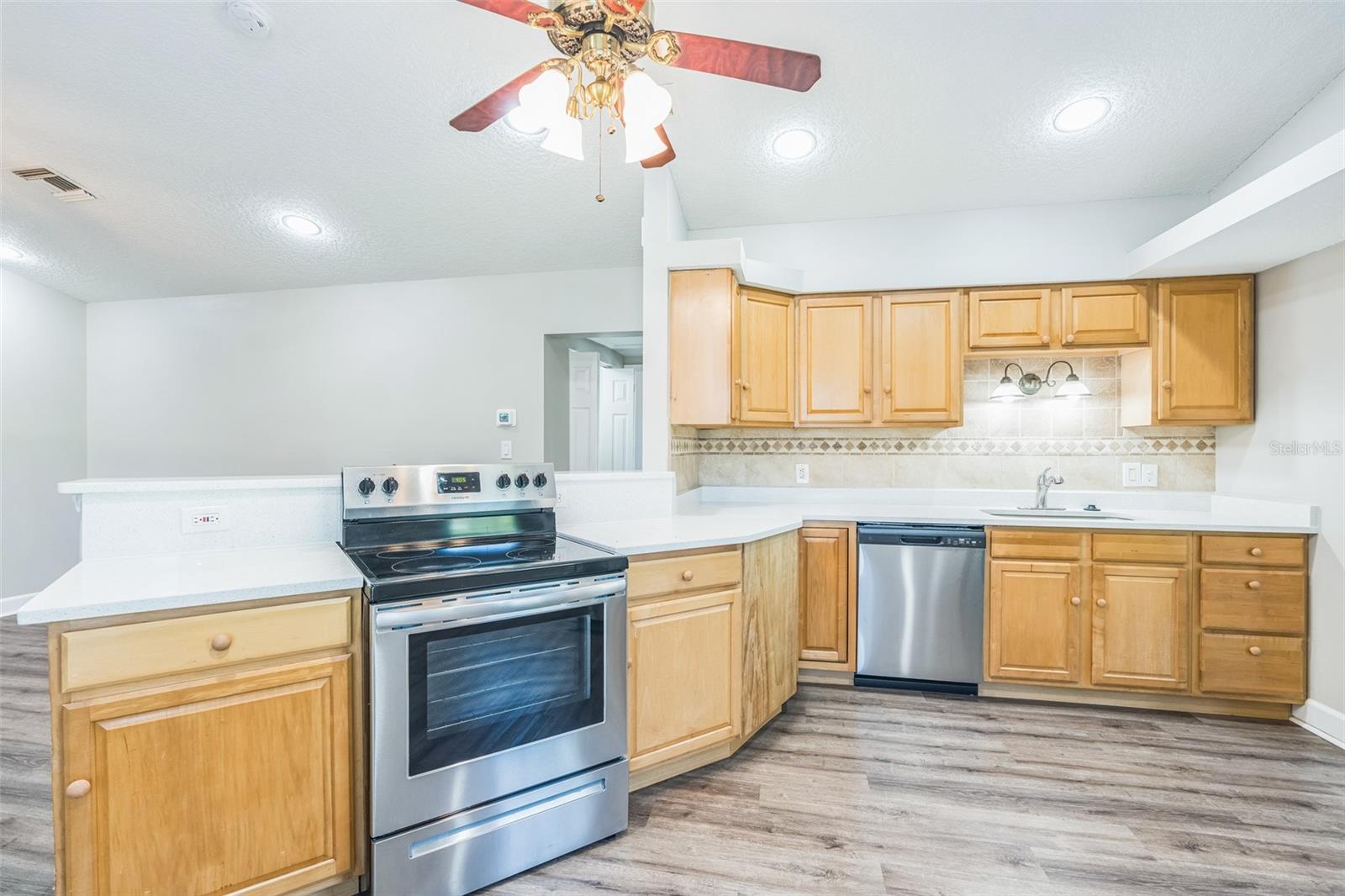 250 E 20TH AVE, MOUNT DORA, FL, 32757