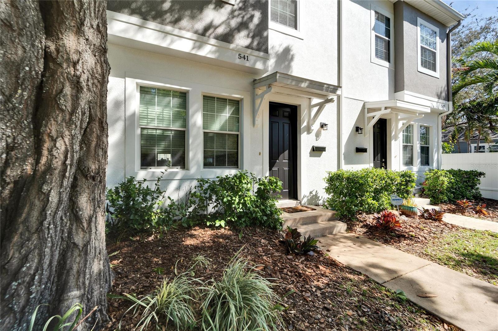 541 DELMAR TER S, ST PETERSBURG, FL, 33701