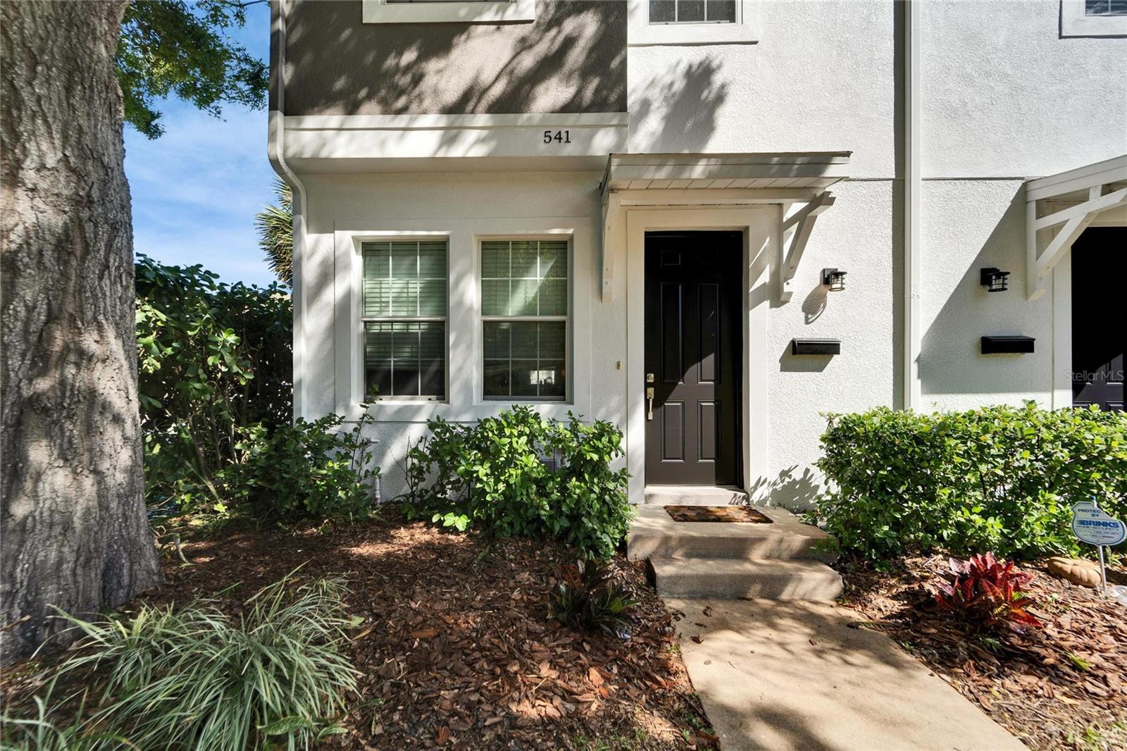 541 DELMAR TER S, ST PETERSBURG, FL, 33701