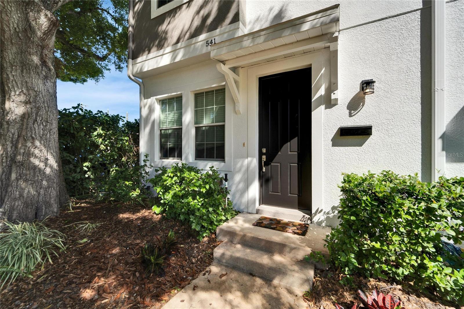 541 DELMAR TER S, ST PETERSBURG, FL, 33701