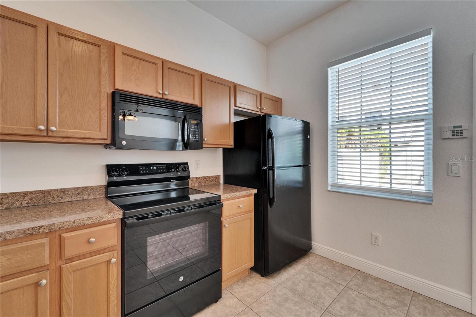 541 DELMAR TER S, ST PETERSBURG, FL, 33701