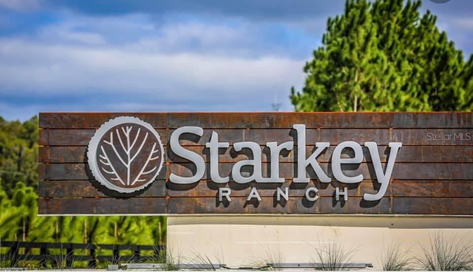 3881 DUNN AVE, ODESSA, FL, 33556