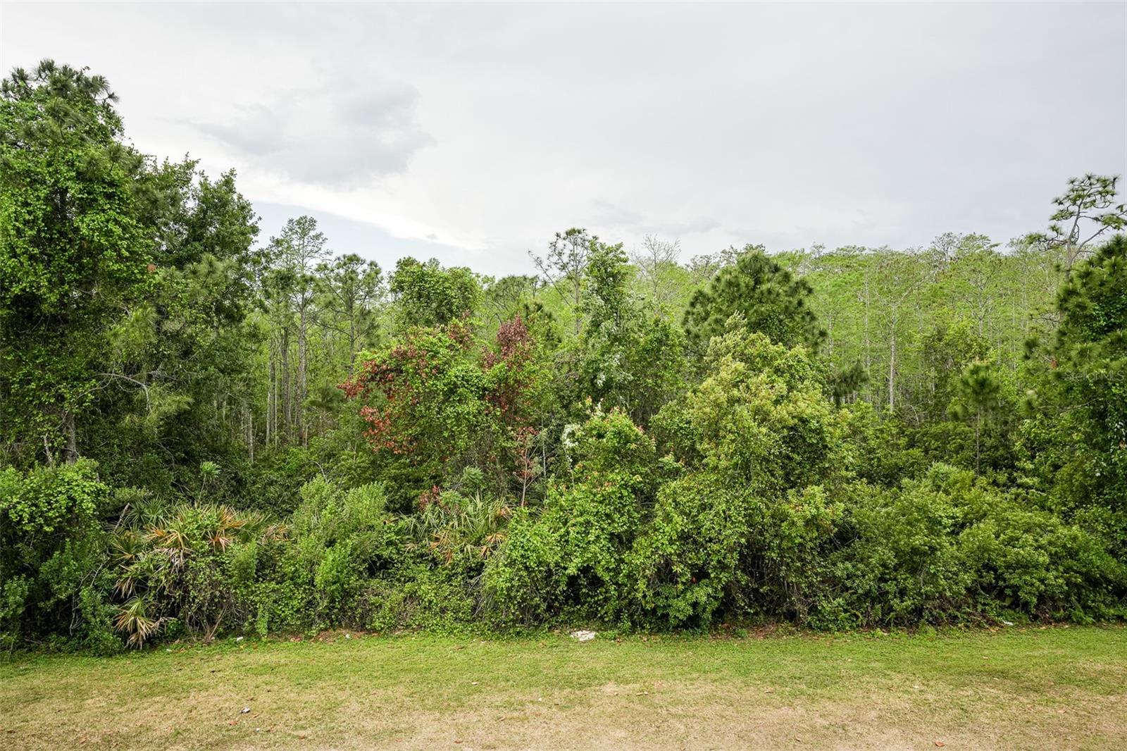 10735 YELLOW TIGER LILY DR #A, ORLANDO, FL, 32832