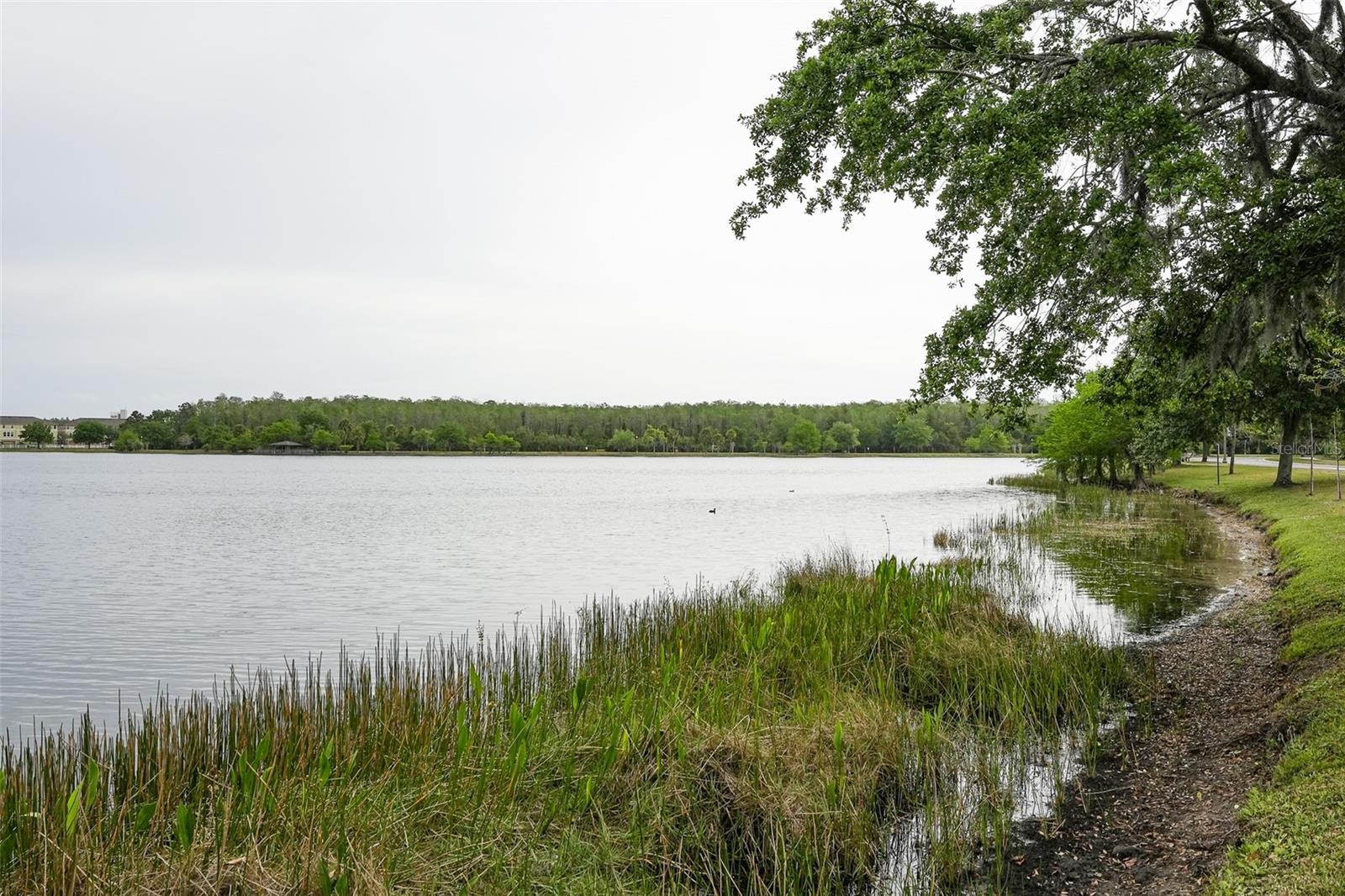 10735 YELLOW TIGER LILY DR #A, ORLANDO, FL, 32832