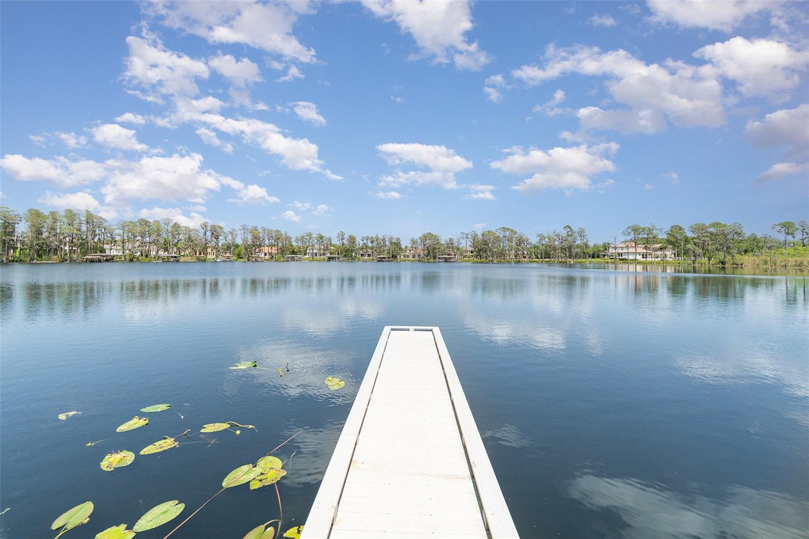 6125 FOXFIELD CT, WINDERMERE, FL, 34786