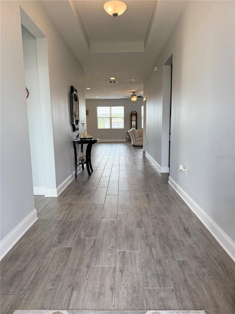 2445 VERDE VIEW DR, APOPKA, FL, 32703