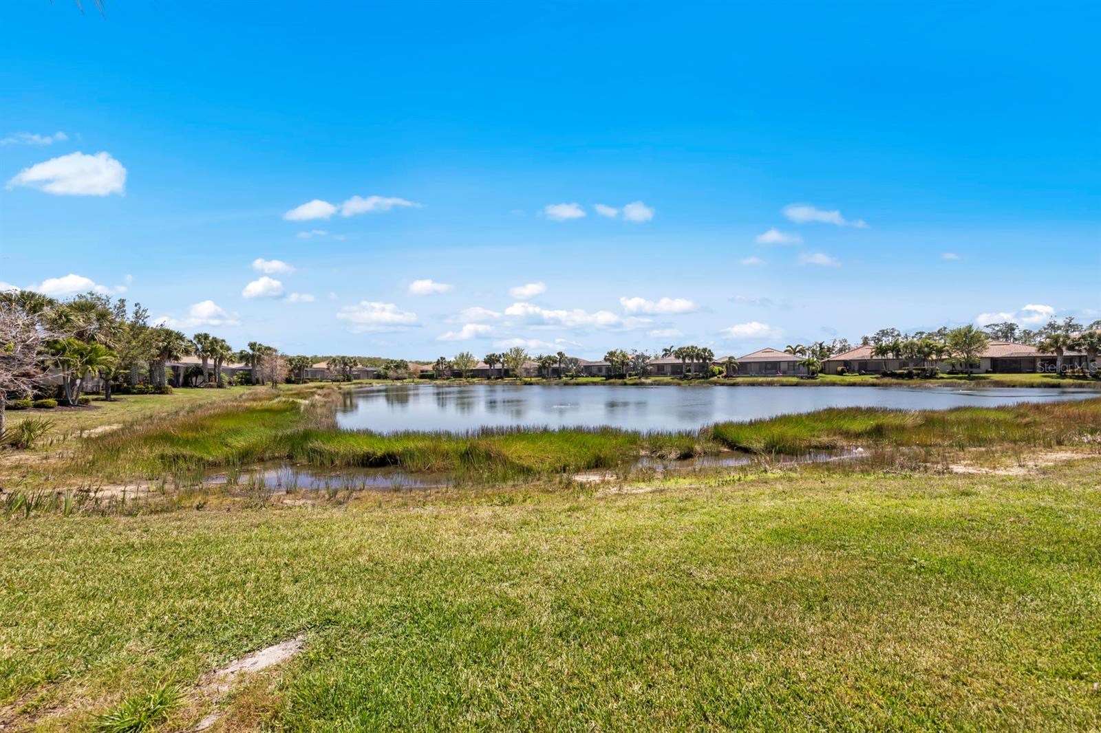 20373 BLACK TREE LN, ESTERO, FL, 33928