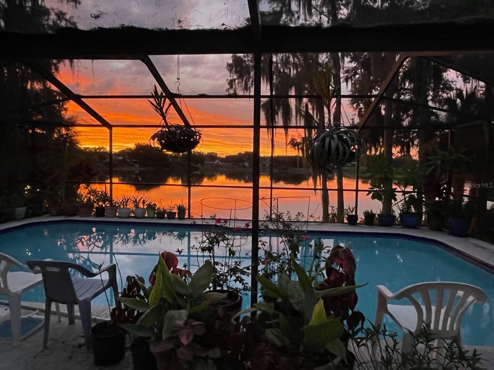 23059 GENEVA RD, LAND O LAKES, FL, 34639