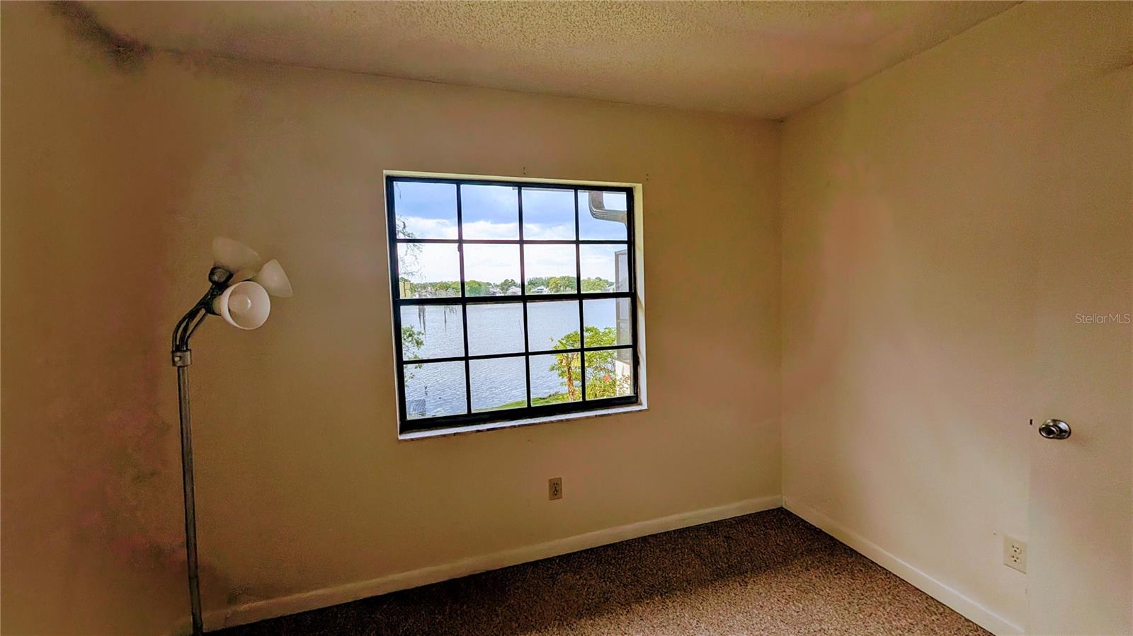 23059 GENEVA RD, LAND O LAKES, FL, 34639