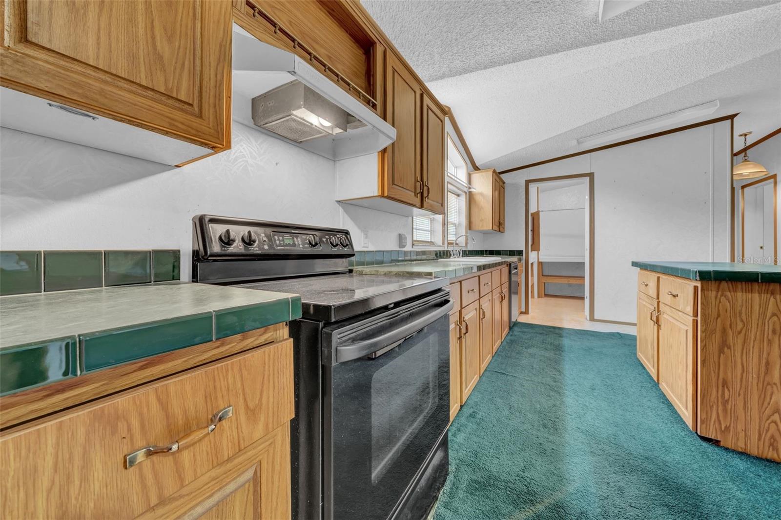 30125 CLEARVIEW DR, WESLEY CHAPEL, FL, 33545