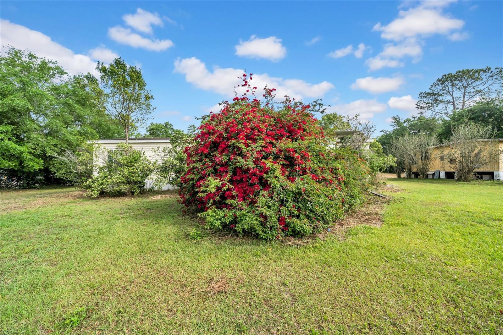 30125 CLEARVIEW DR, WESLEY CHAPEL, FL, 33545