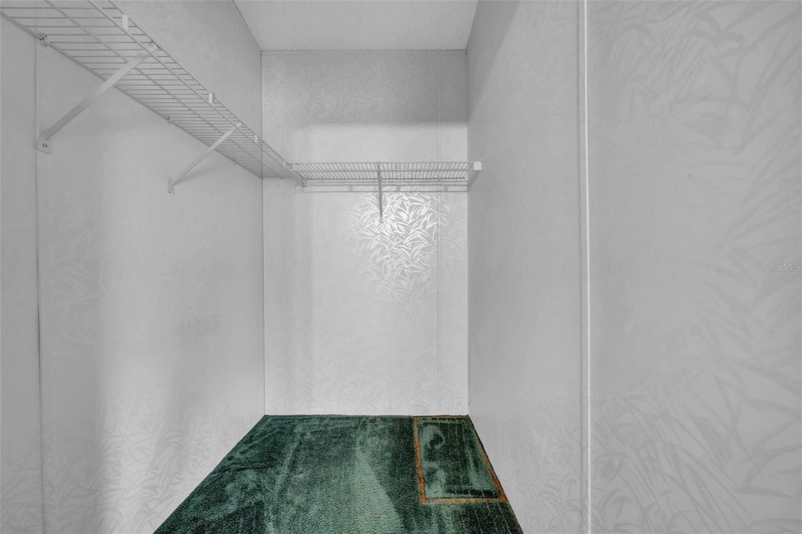 30125 CLEARVIEW DR, WESLEY CHAPEL, FL, 33545