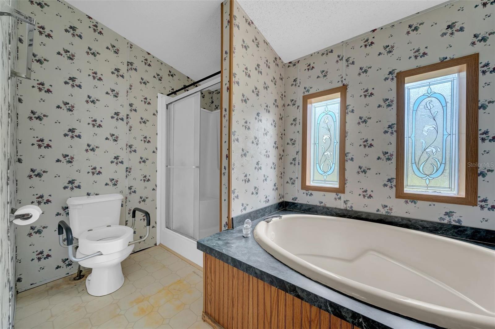 30125 CLEARVIEW DR, WESLEY CHAPEL, FL, 33545