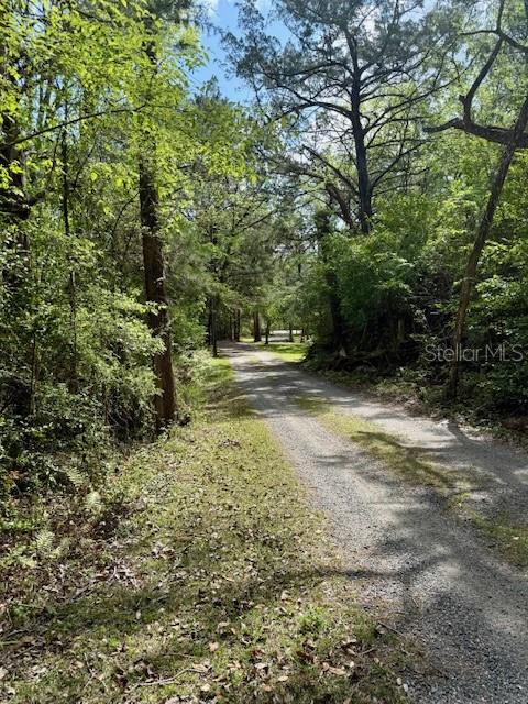 14037 OLD CRYSTAL RIVER RD, BROOKSVILLE, FL, 34601